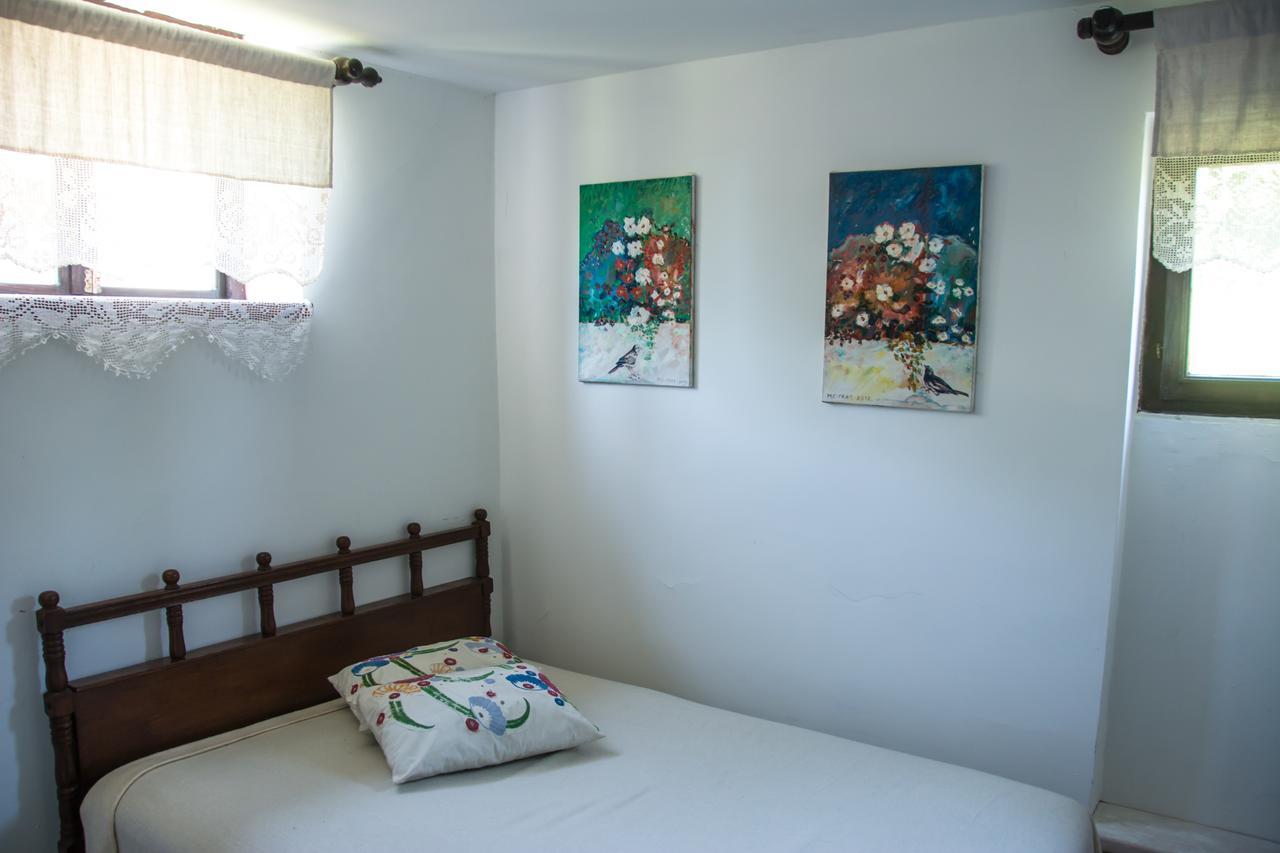 Guest House Vila Albedo Varna Dış mekan fotoğraf