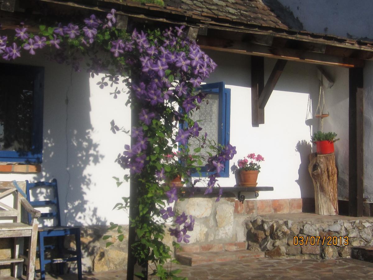 Guest House Vila Albedo Varna Dış mekan fotoğraf